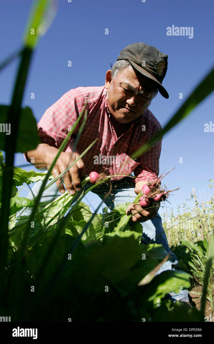 Chino farms hi-res stock photography and images - Alamy