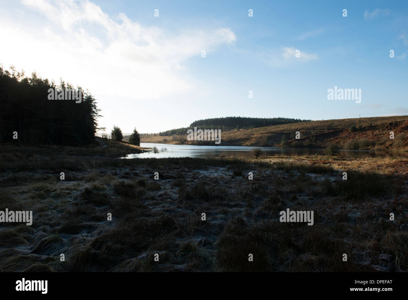 Kielder Forest Stock Photo Alamy