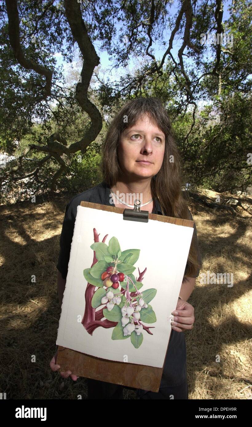(published 6/17/2005, NI-6) Portrait of native plant expert and artist JULIE SCHNEIDER among oak trees near her home close to Palomar Mountain with a water color she painted of Big Berry Manzanita, a plant native to southern California.  U/T photo CHARLIE NEUMAN Stock Photo