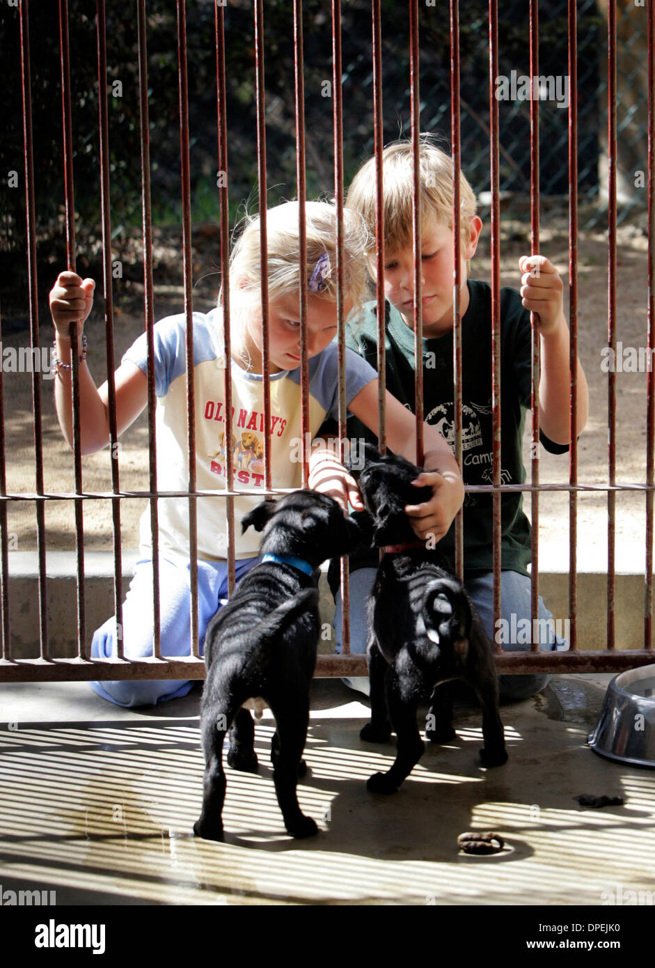 (Published 5/6/2006, E-1) April 21, 2006, San Diego, California, USA  ........ At the Helen Woodward Animal Center in Rancho Santa Fe, HANK BASS (age7) and his younger sister, TESSA (cq) BASS (age5) take a closer look at puppies up for adoption. The family curently has a golden retriever but is now looking to adopt a second dog. Mandatory Credit: photo by Nelvin C. Cepeda/San Diego Stock Photo