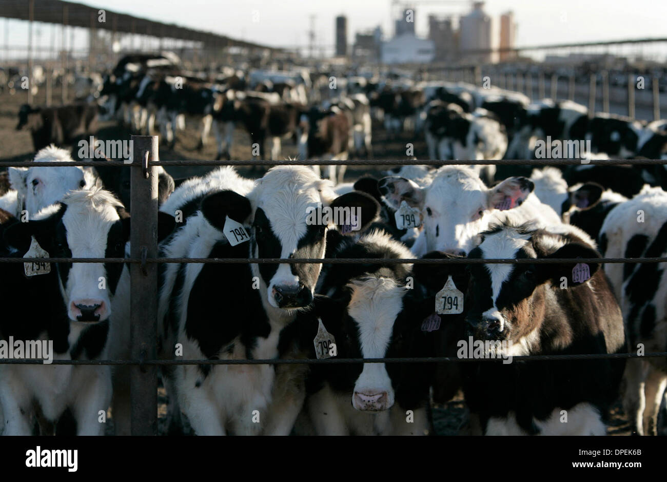 Feed yard hires stock photography and images Alamy