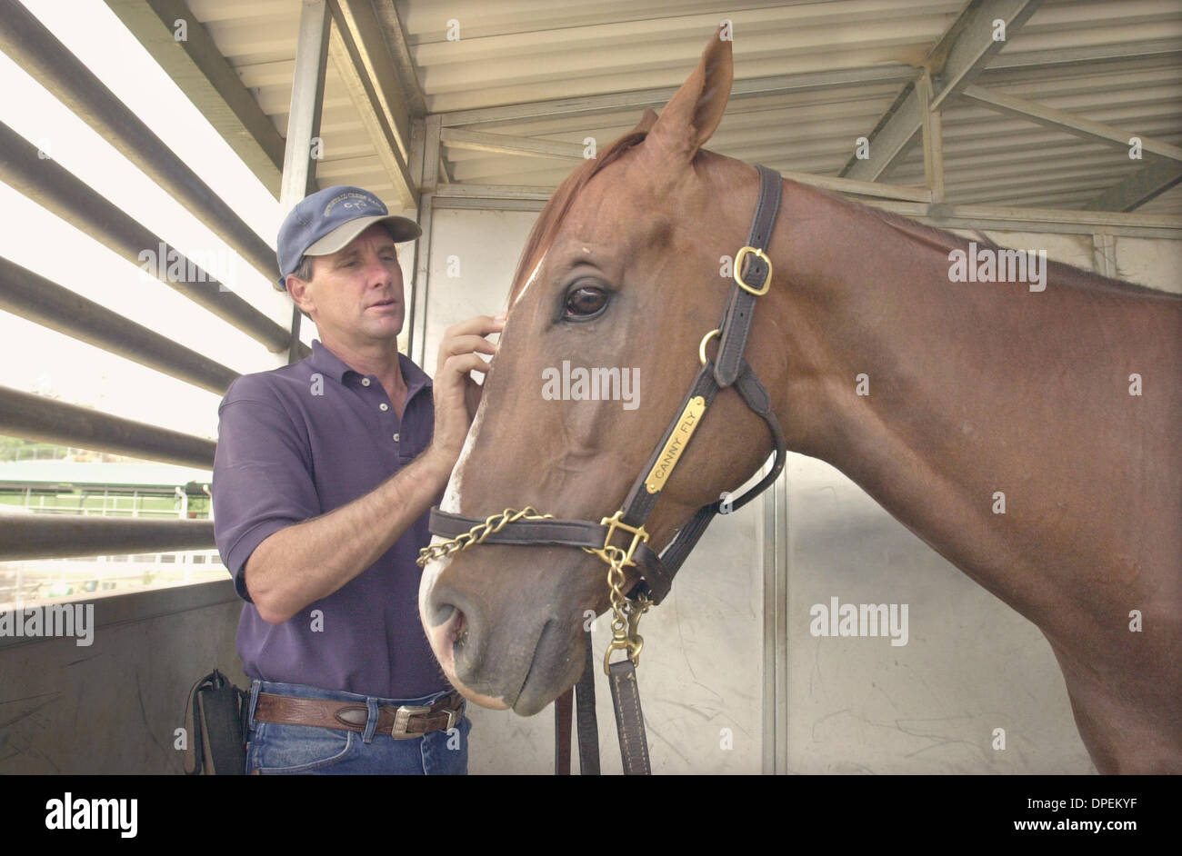 (Published 07/09/2003, NI-6, UTS1747112) JERRY MURPHY checks on big powerful racehorse named Canny Fly in his stall at Burma Ridge thoroughbred facility. The horse had been racing recently at Hollywood Park and is here for some rest.  U/T photo CHARLIE NEUMAN Stock Photo