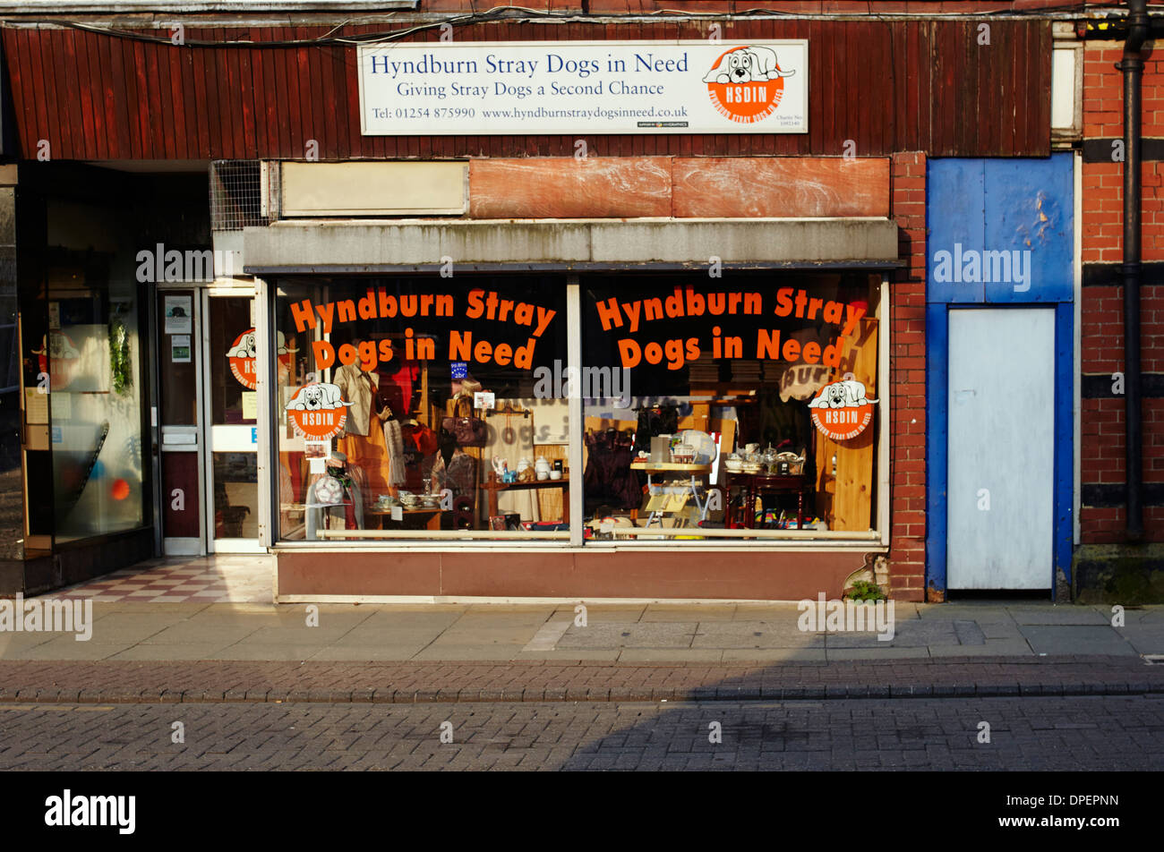 Hyndburn Stray Dogs in Need,  Accrington, Lancashire Stock Photo