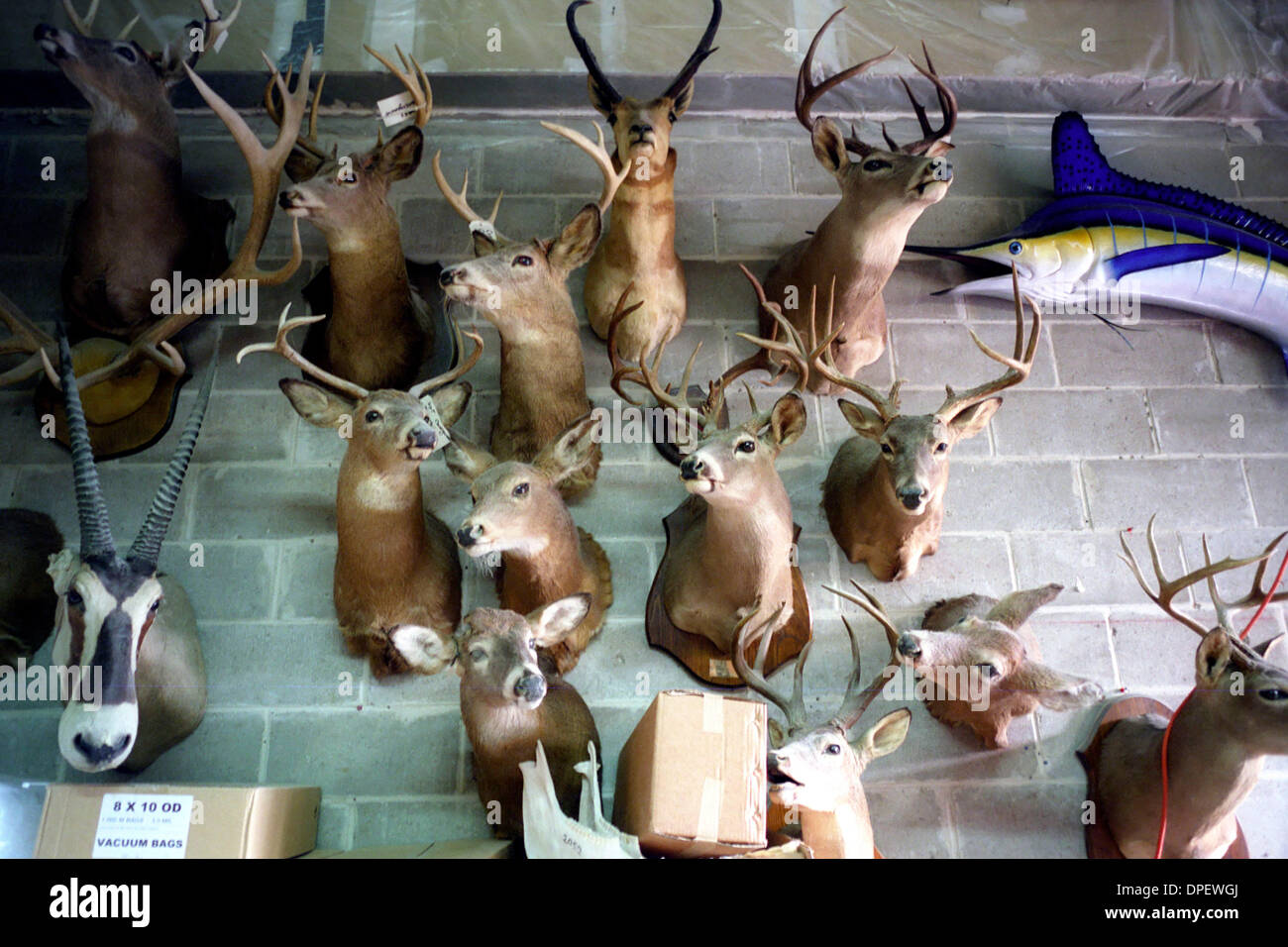 Nov 01, 2006 Oakdale, New York, USA Fish and Wildlife Unlimited