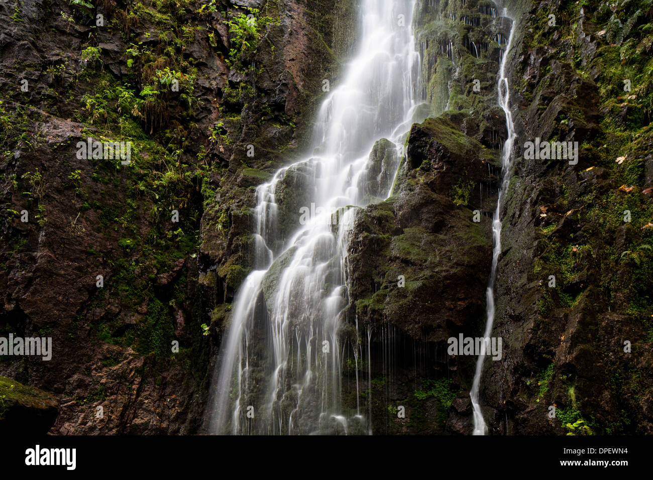 Waterfall in the forest, Burgbach waterfall near Schapbach, Black Forest, Baden-Württemberg, Germany Stock Photo