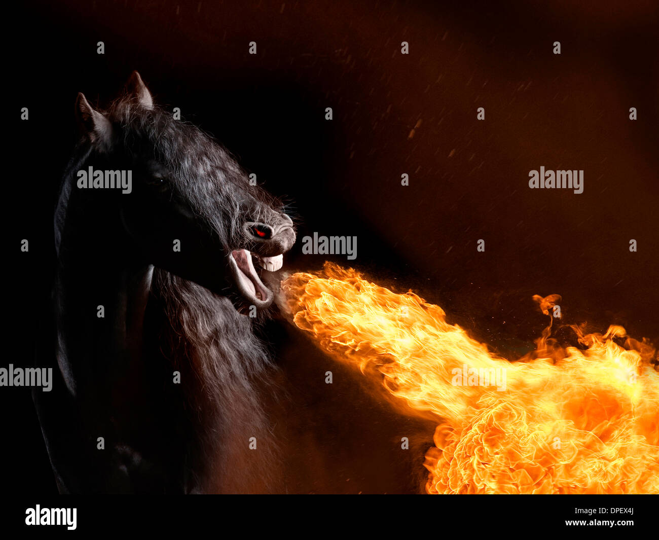 Friesian horse breathing fire, photomontage Stock Photo
