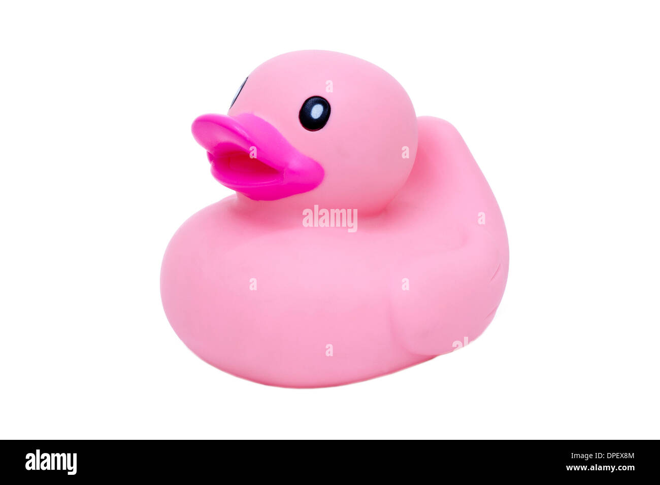 Pink rubber duck Stock Photo