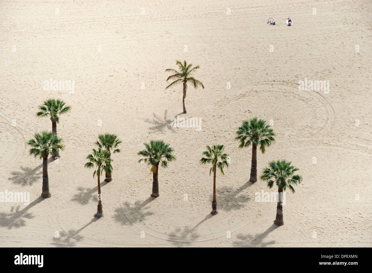 Palm trees on the beach, Playa de las Teresitas, Santa Cruz, Tenerife, Canary Islands, Spain Stock Photo