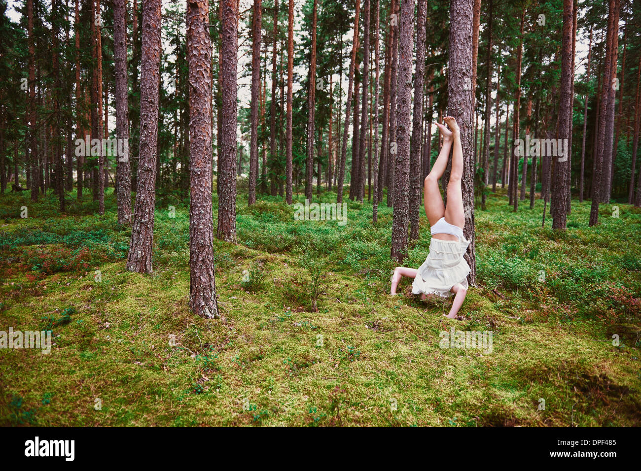 Young woman doing headstand against tree in forest Stock Photo