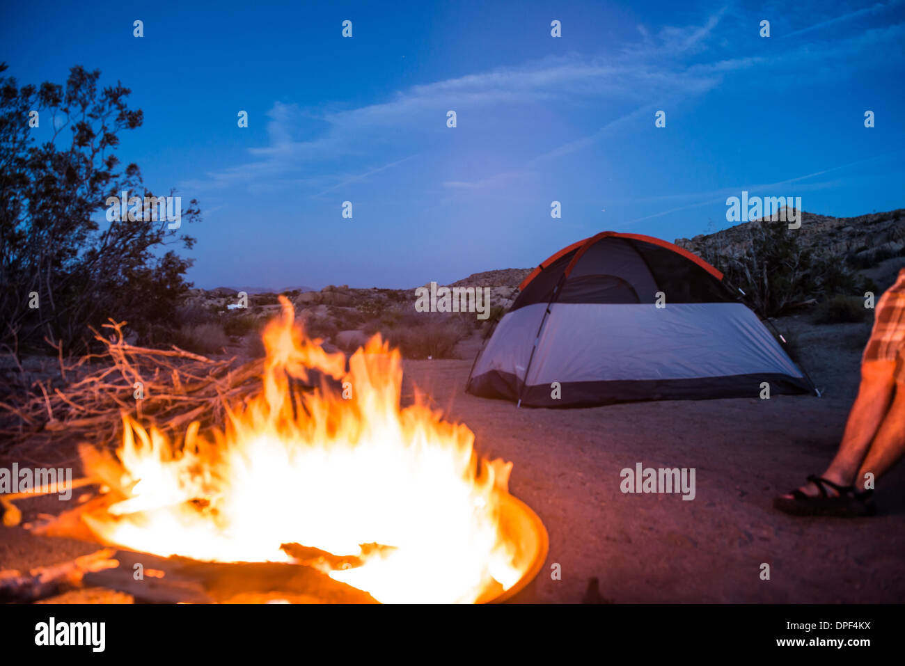 Camping Site And Fire Joshua Tree National Park California Usa Stock Photo Alamy