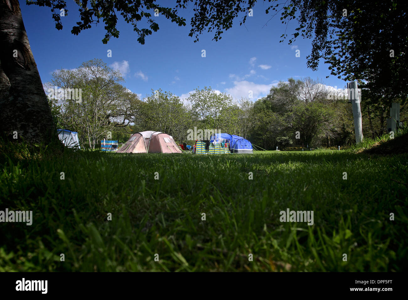 Tent at campsite on a hot and sunny summers day, camping holiday Stock Photo