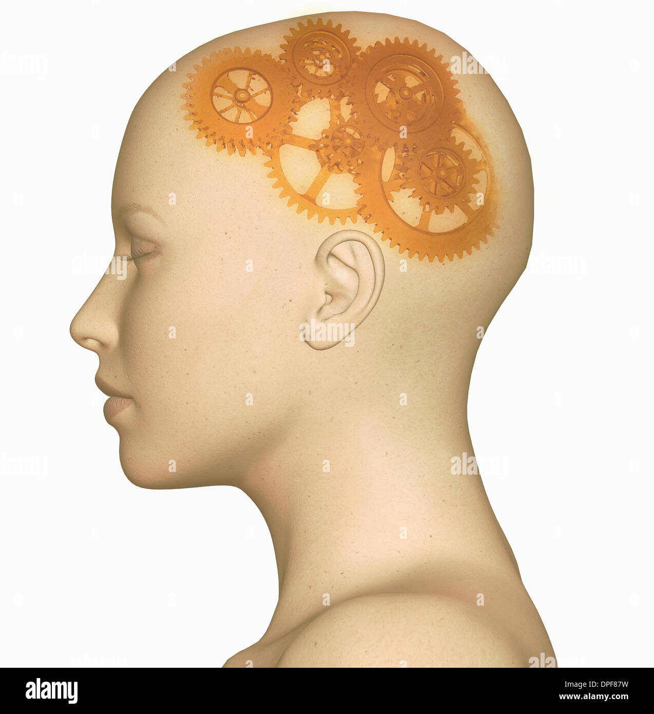 Illustration of female human head with gears Stock Photo