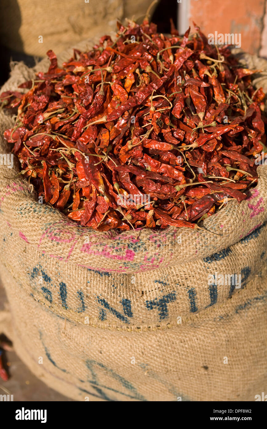 Spices, Jaipur, Rajasthan, India, Asia Stock Photo Alamy