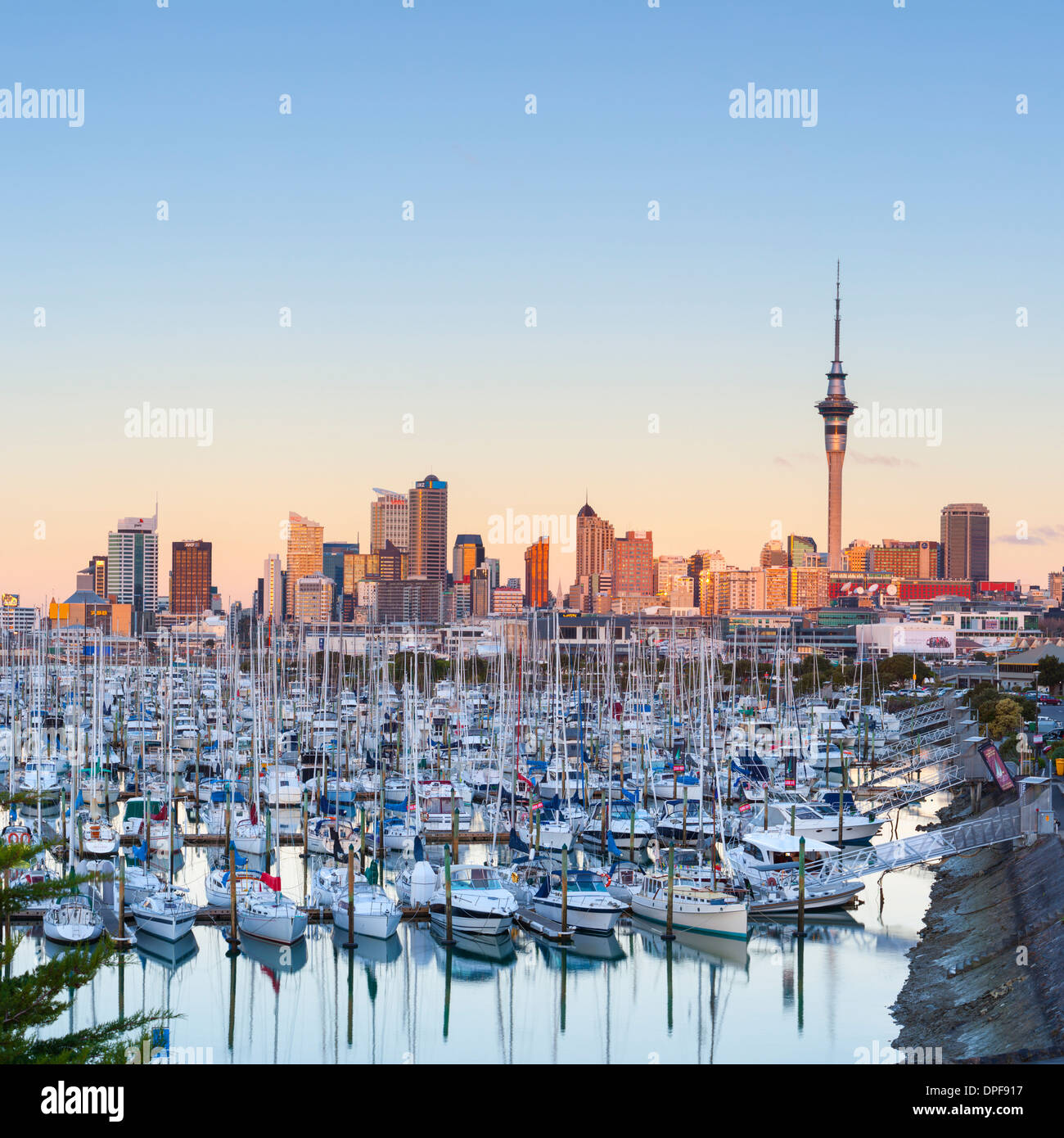 Westhaven Marina and city skyline illuminated at sunset, Waitemata Harbour, Auckland, North Island, New Zealand, Pacific Stock Photo