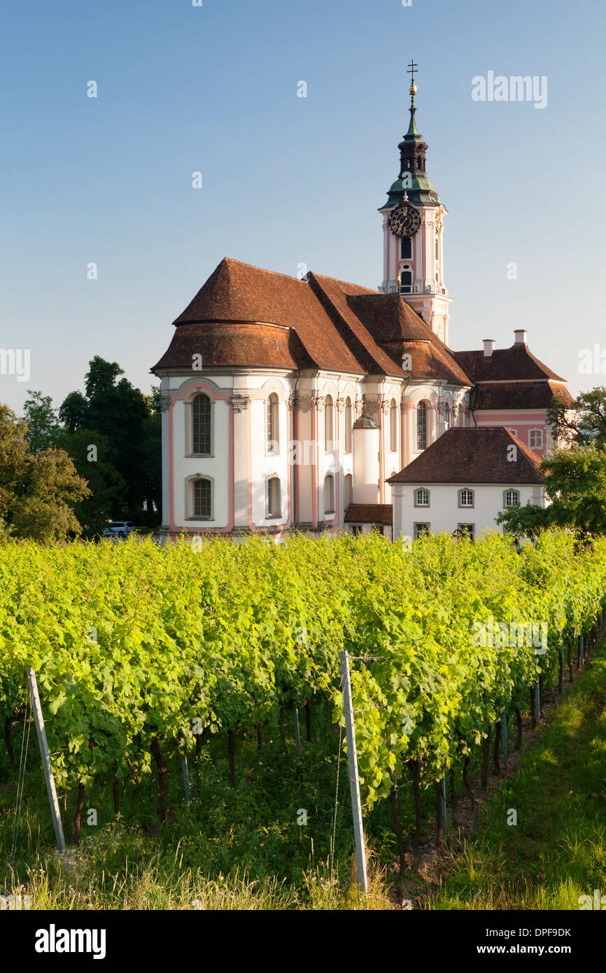 Vineyards and pilgrimage church of Birnau Abbey, Unteruhldingen, Lake Constance, Baden Wurttemberg, Germany, Europe Stock Photo