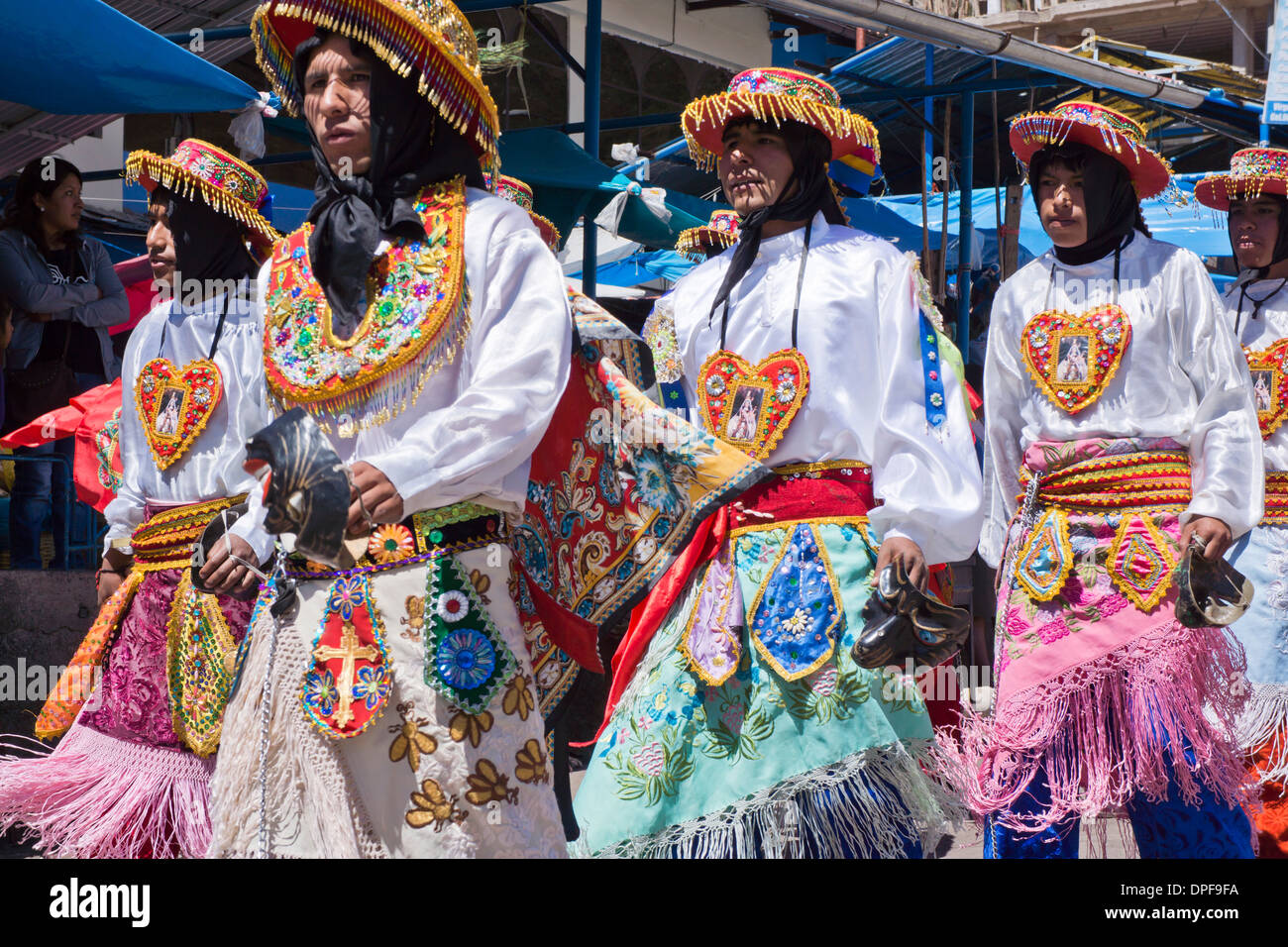 Preparation for the religious festival of Corpus Christi festival, llama, Urcos, Peru, South America Stock Photo