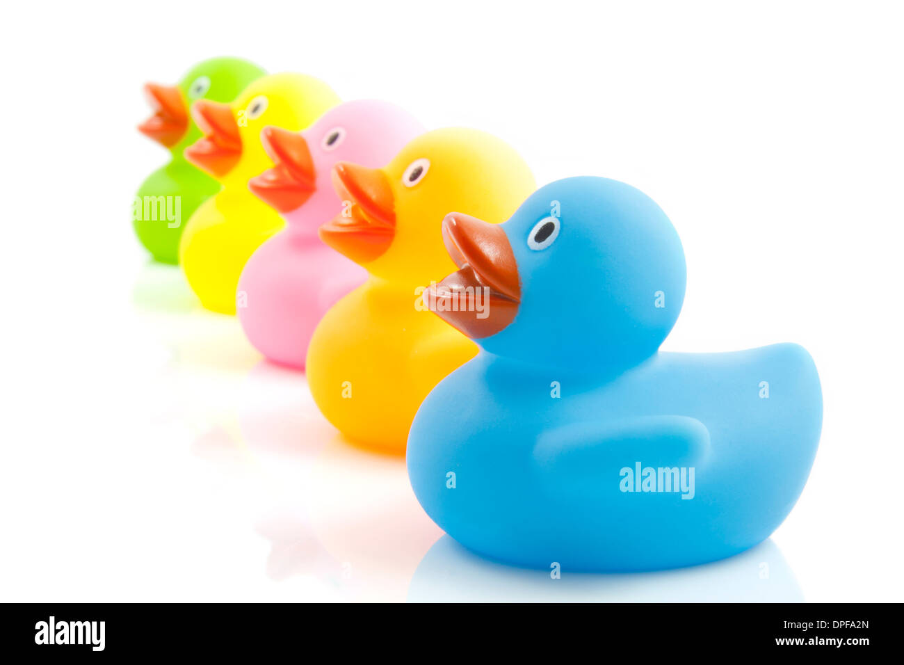 Five colorful ducks in a row isolated over white Stock Photo - Alamy