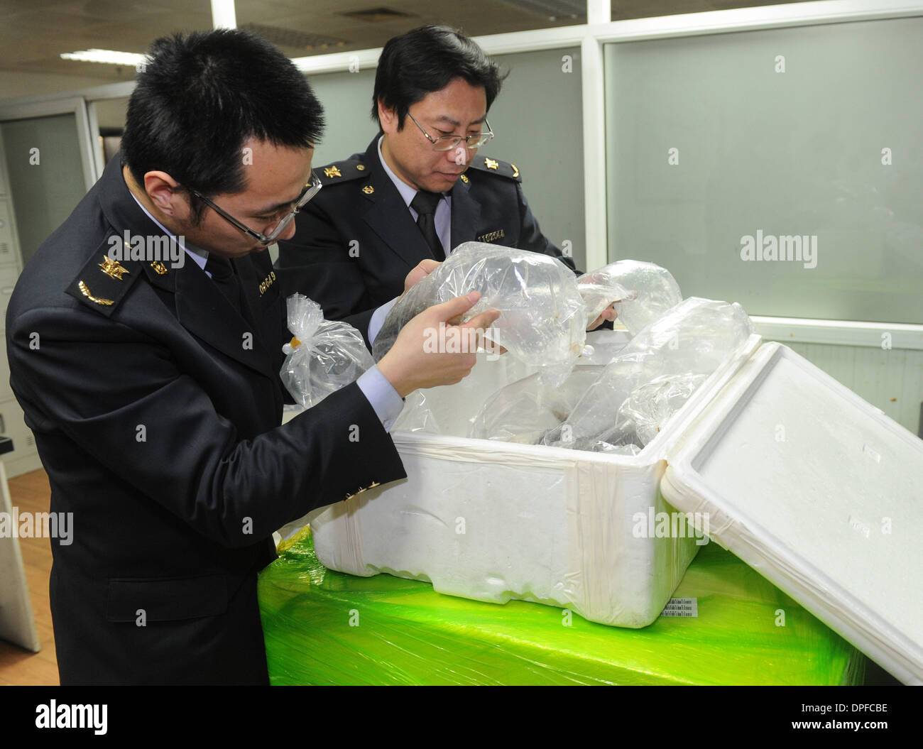Beijing, China. 14th Jan, 2014. Staff members of Entry-Exit Inspection and Quarantine Bureau check and sort out the eel fry seized by them at the Beijing Capital International Airport in Beijing, capital of China, Jan. 14, 2014. Twelve boxes of eel fry carried by a passenger from Germany without any examine and approve documents were seized at the airport Monday which is the first time of its kind. Illegal introduction of creatures may break the local ecological balance and bring a disaster to local creatures. © Luo Xiaoguang/Xinhua/Alamy Live News Stock Photo