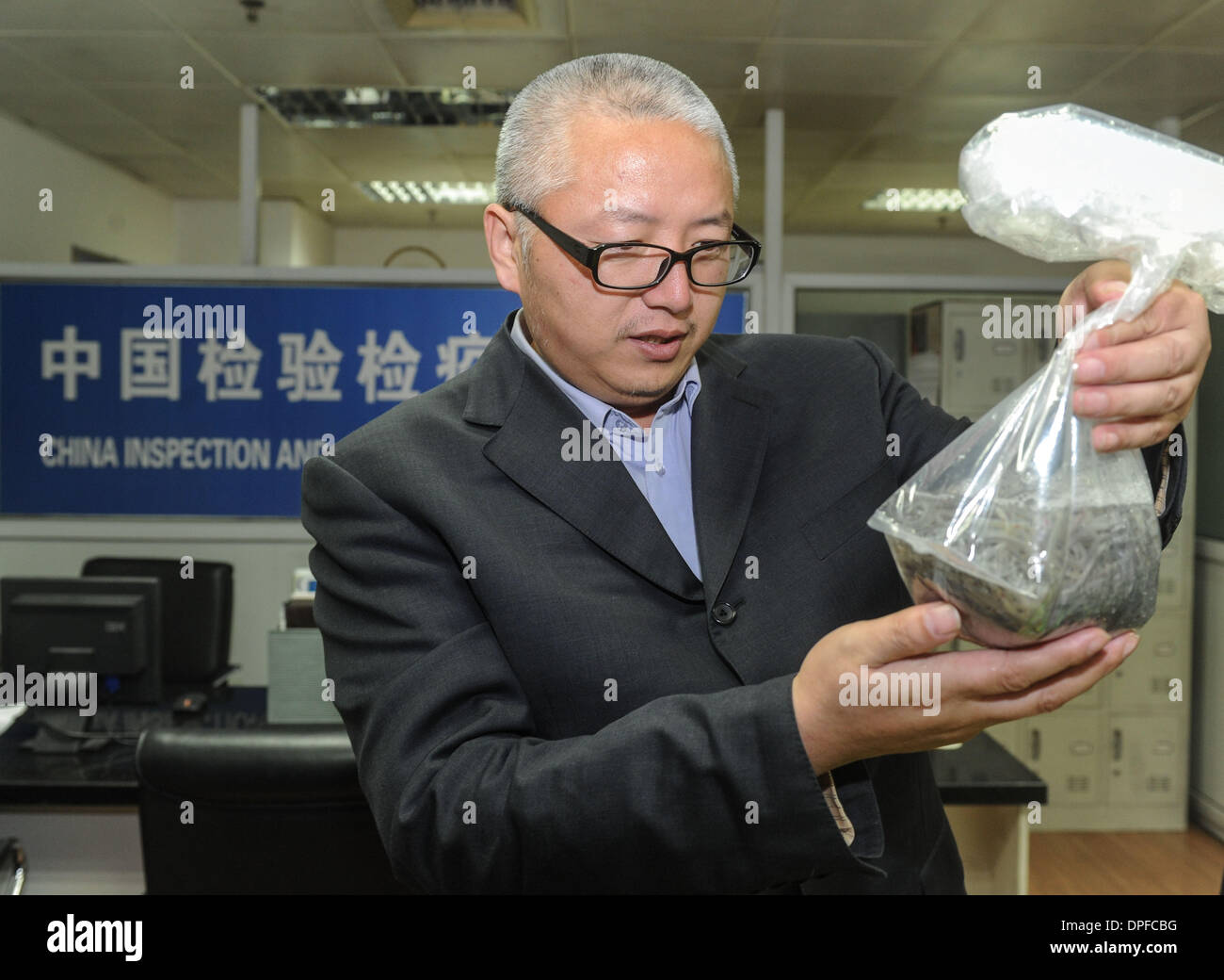 Beijing, China. 14th Jan, 2014. Zhang Lifeng, an expert of Beijing Entry-Exit Inspection and Quarantine Bureau, quarantines the seized eel fry in Beijing, capital of China, Jan. 14, 2014. Twelve boxes of eel fry carried by a passenger from Germany without any examine and approve documents were seized at the airport Monday which is the first time of its kind. Illegal introduction of creatures may break the local ecological balance and bring a disaster to local creatures. © Luo Xiaoguang/Xinhua/Alamy Live News Stock Photo