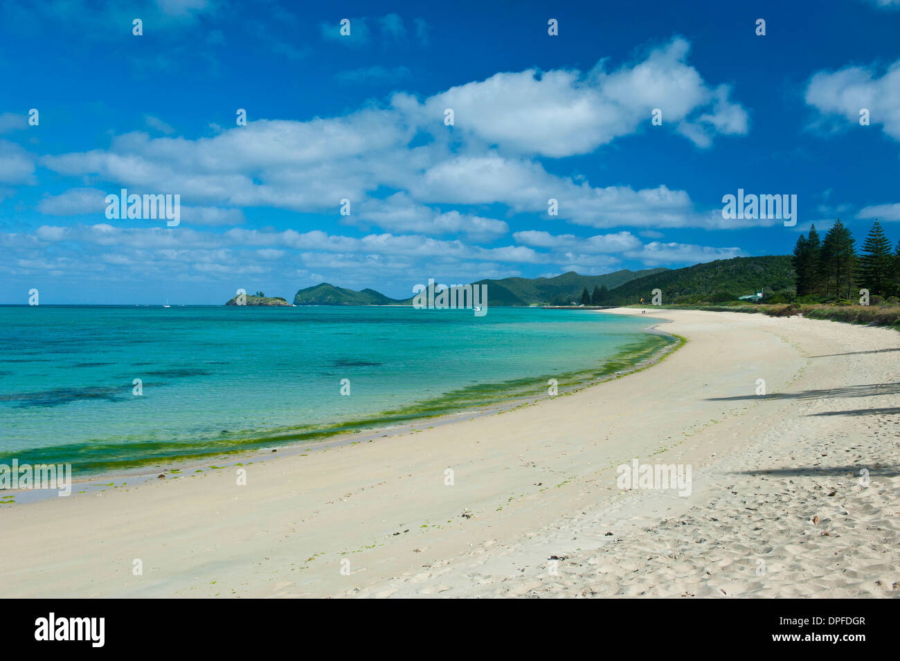 White sand beach, Lord Howe Island, UNESCO World Heritage Site