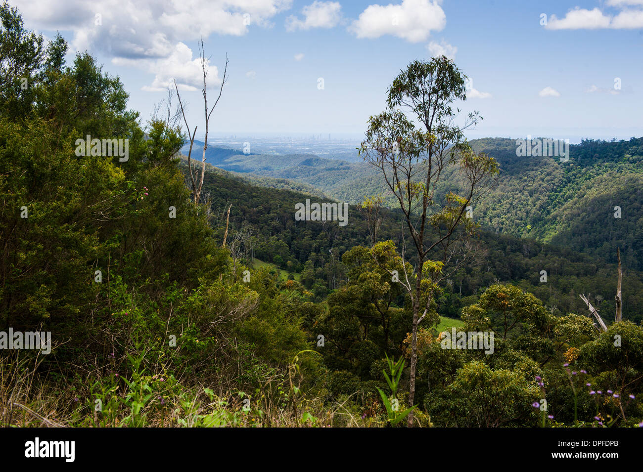 View in the Springbrook National Park, New South Wales, Australia, Pacific Stock Photo