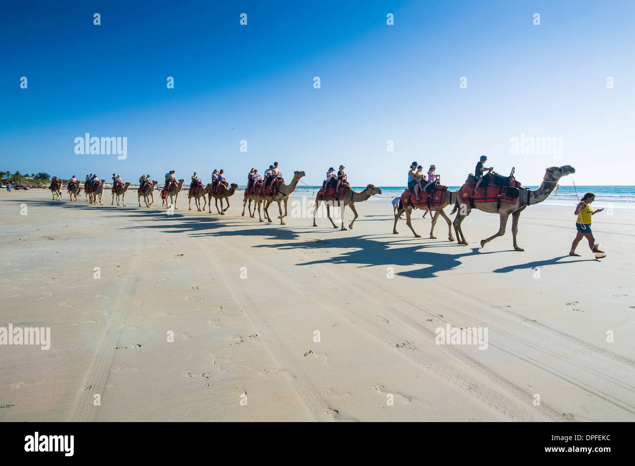 Australia camels hi-res stock photography and images - Alamy