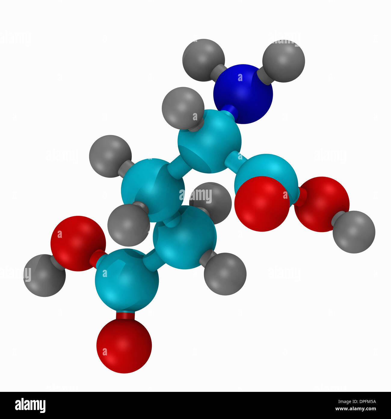 ball and stick model of the amino acid, glutamate Stock Photo