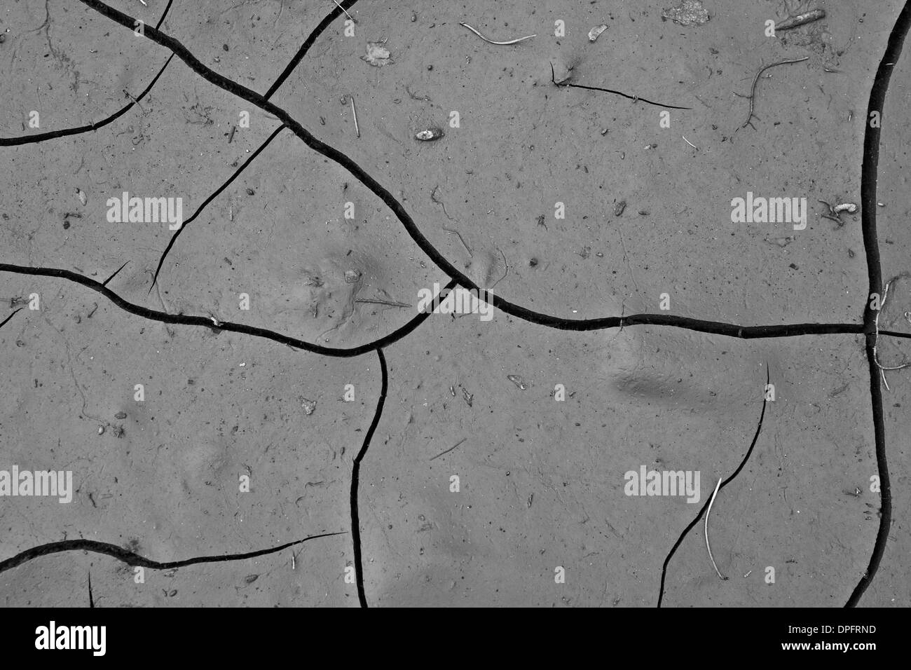 Soil detail Black and White Stock Photos & Images - Alamy