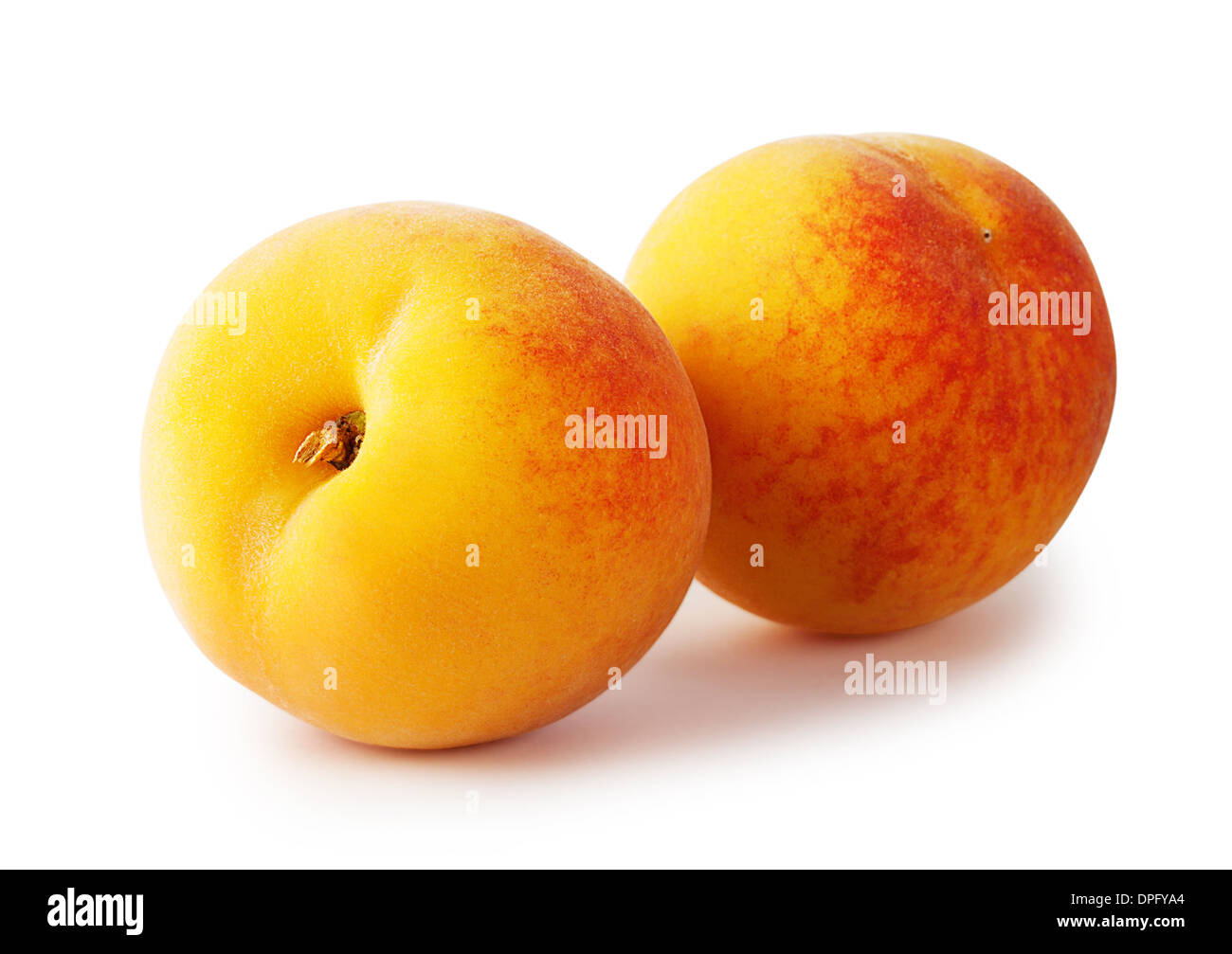 Two ripe yellow apricots isolated on white background Stock Photo