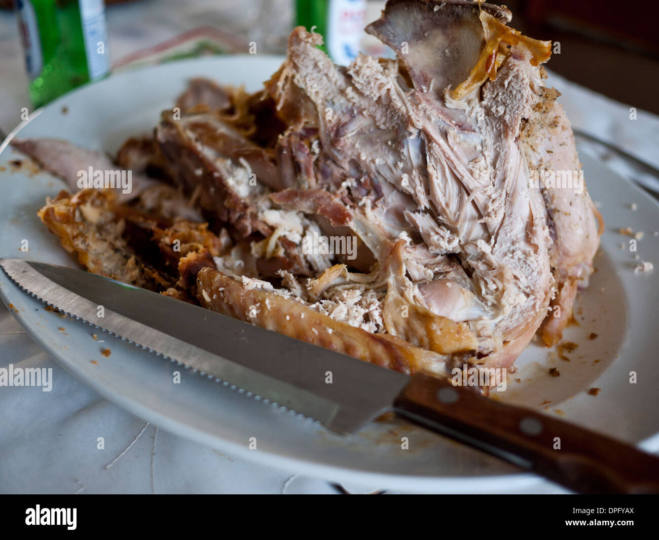 Turkey Roast leftovers on oval plate. Stock Photo