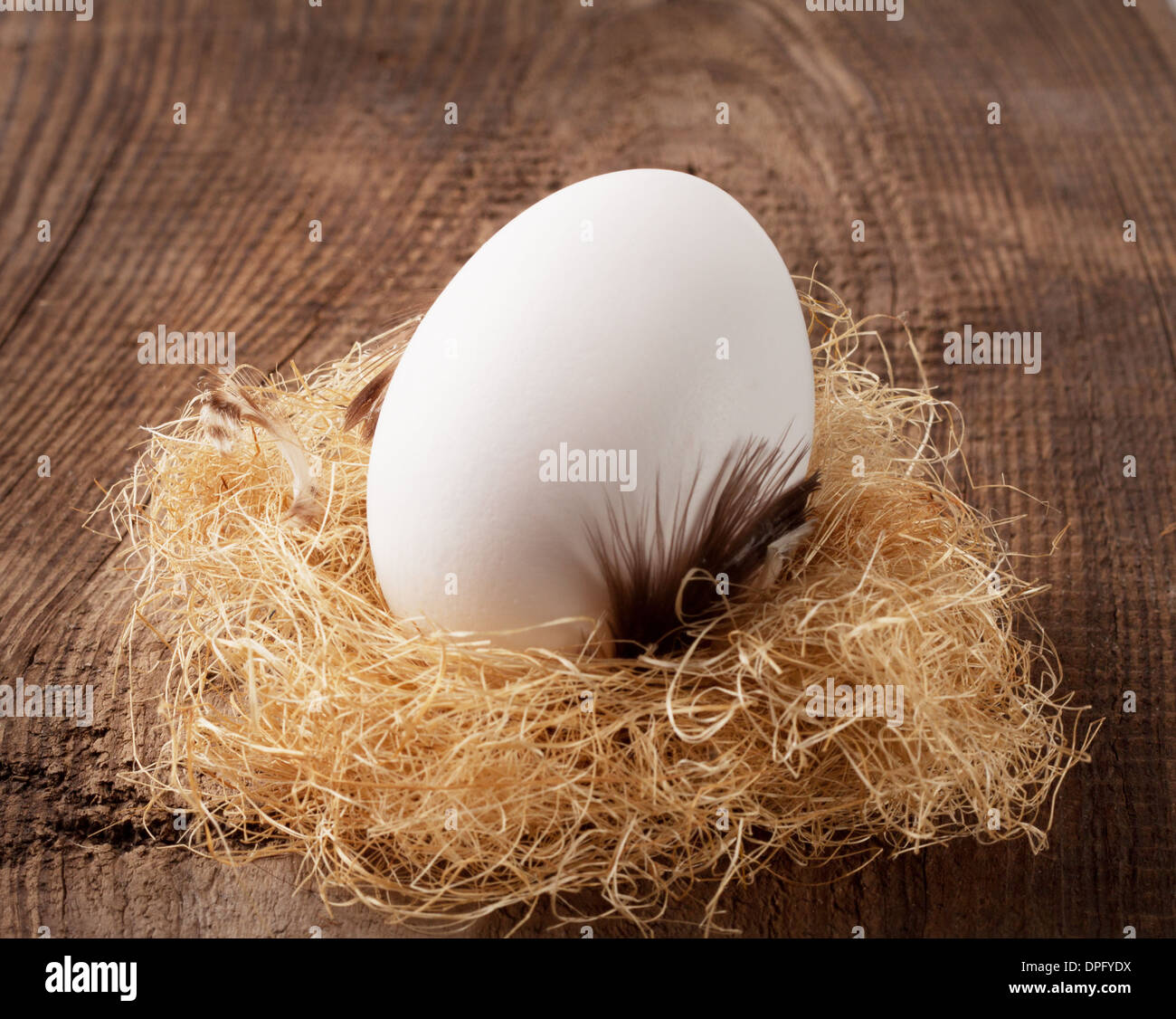 White chicken eggs in a nest on Stock Photo Alamy