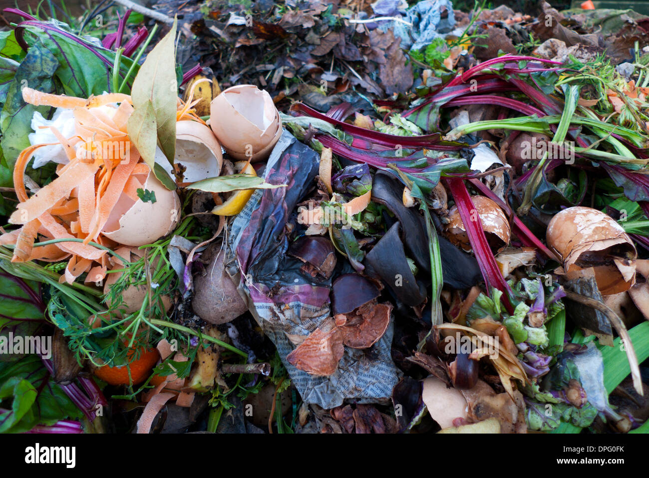 Garden Compost Heap In Bin With Eggshells And Rotting Vegetable Stock Photo Alamy