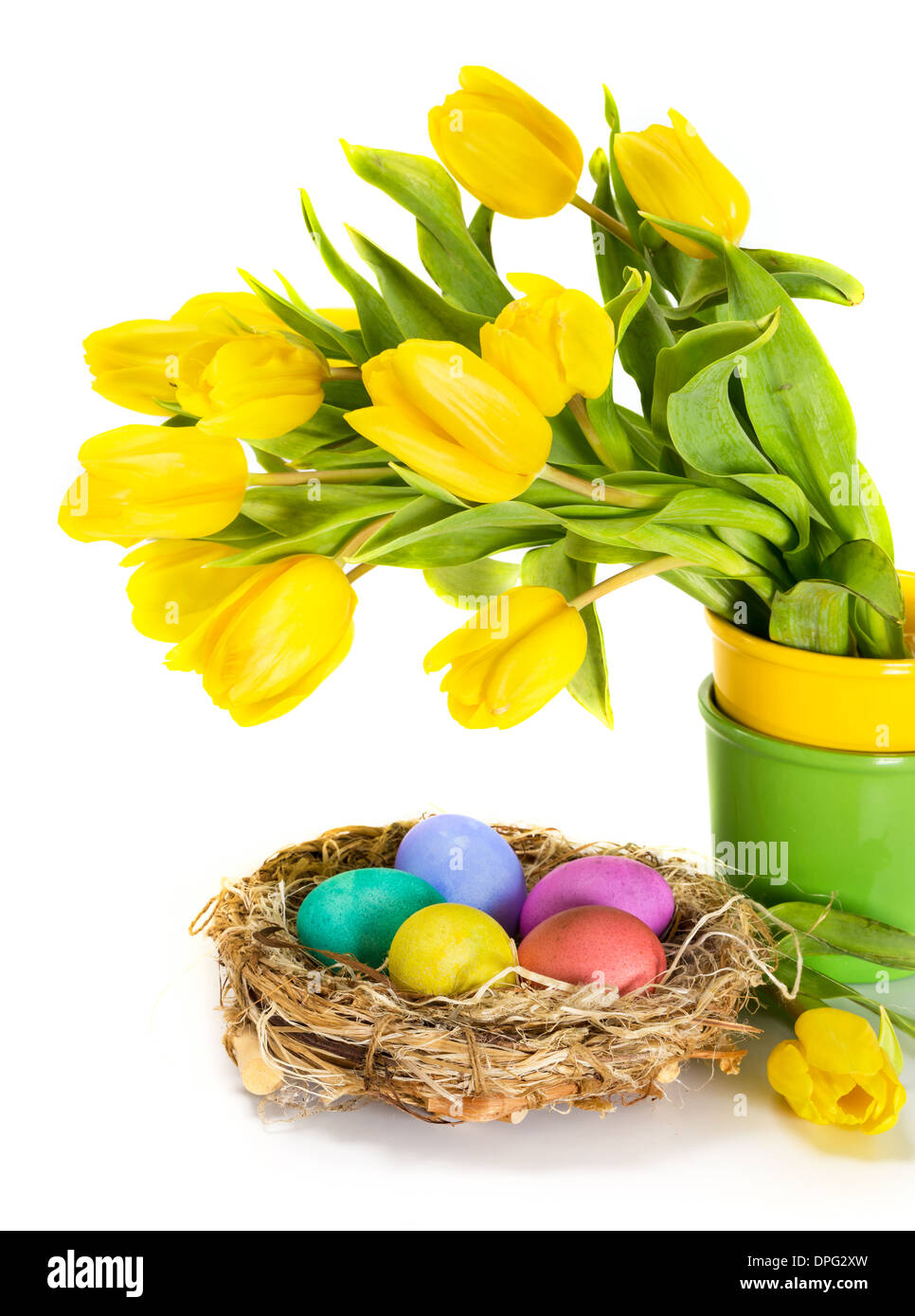 Easter eggs in the nest and tulip flowers Stock Photo - Alamy
