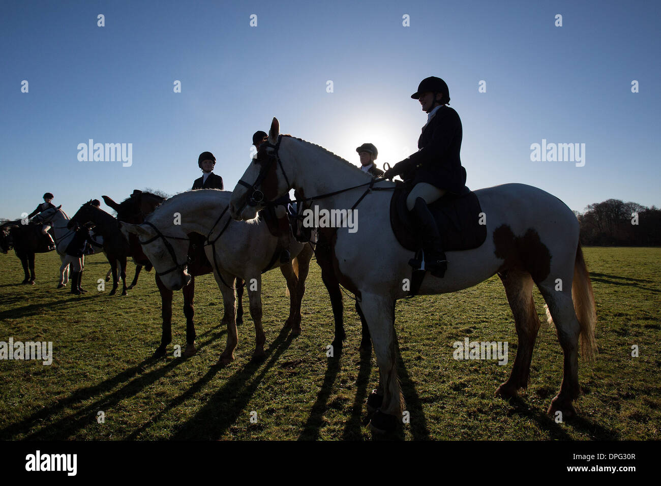 The Beaufort Boxing Day Hunt takes place near Didmarton, in the grounds of the spectacular Badminton Estate Stock Photo