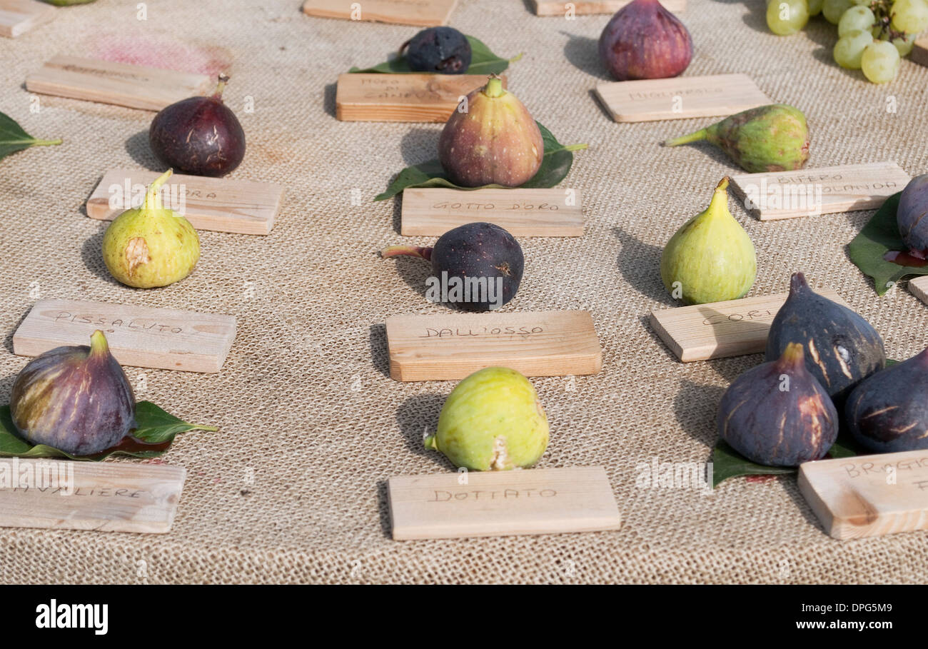 variety of figs Stock Photo Alamy