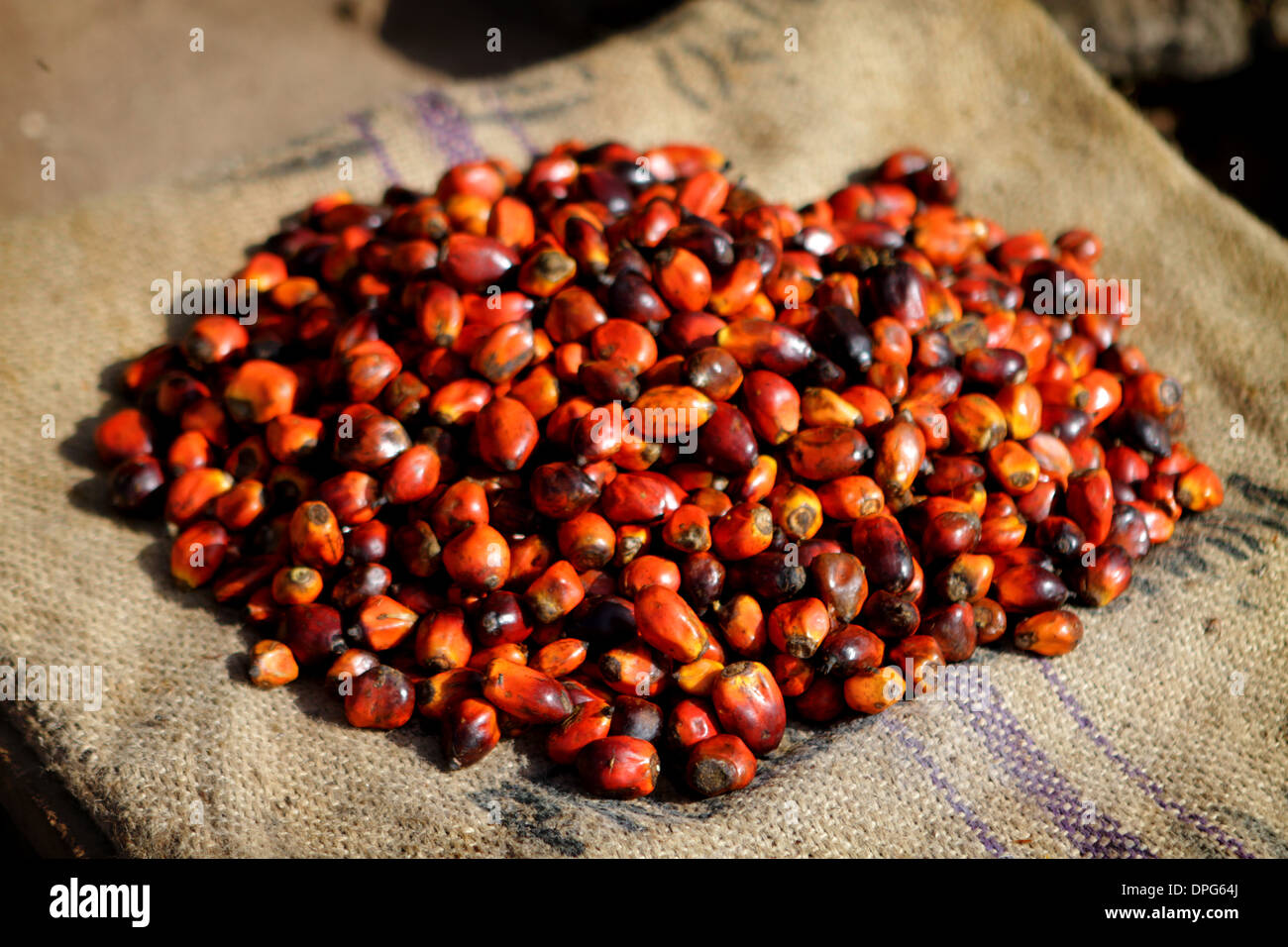 Piles of red chillis for sale in a street market in Ghana, West Africa Stock Photo
