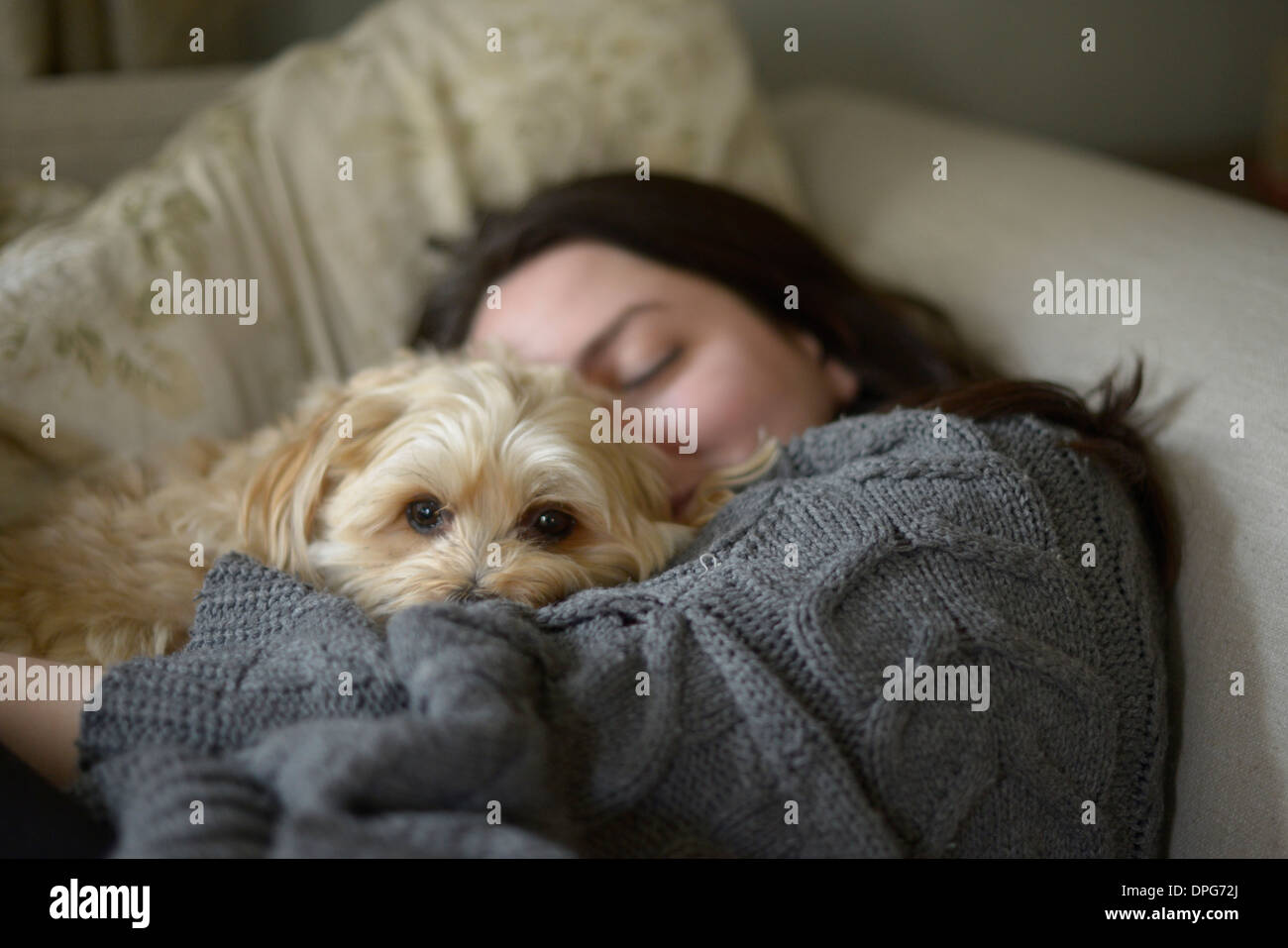 What Small Dogs Like To Cuddle