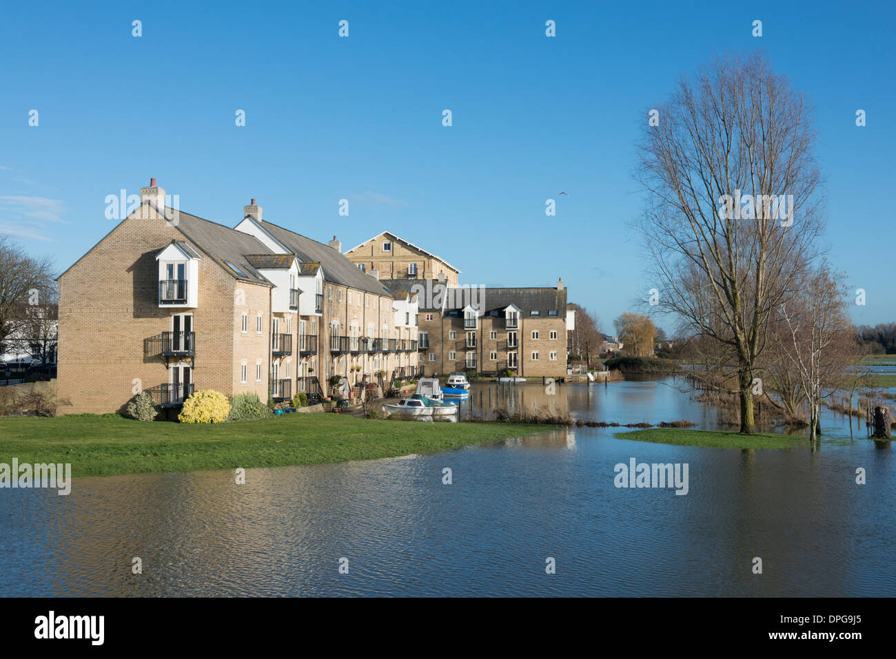 Buildings and houses in St Ives Cambridgeshire UK next to the river Great Ouse which is in flood Stock Photo