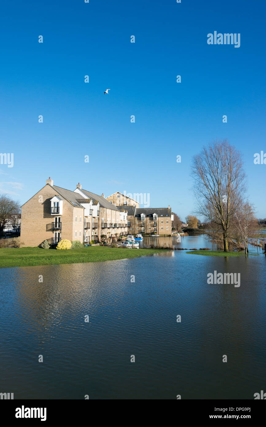 Buildings and houses in St Ives Cambridgeshire UK next to the river Great Ouse which is in flood Stock Photo
