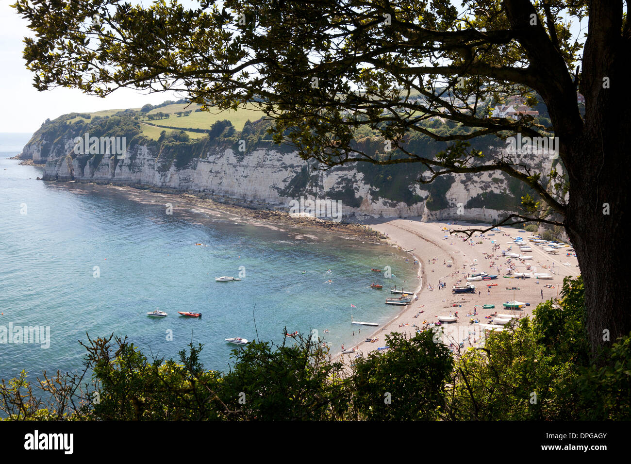 View Of The Beach From Jubilee Gardens Beer Devon Stock Photo Alamy view-of-the-beach-from-jubilee-gardens-beer-devon-stock-photo-alamy
