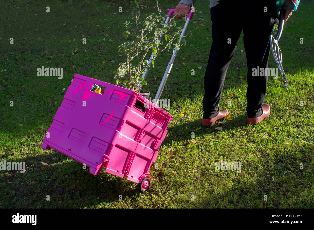 Plant trolley hires stock photography and images Alamy