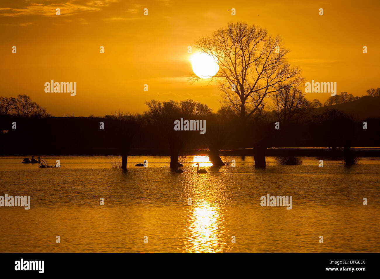 The sun rises over flooded fields near Glastonbury, Somerset Stock Photo