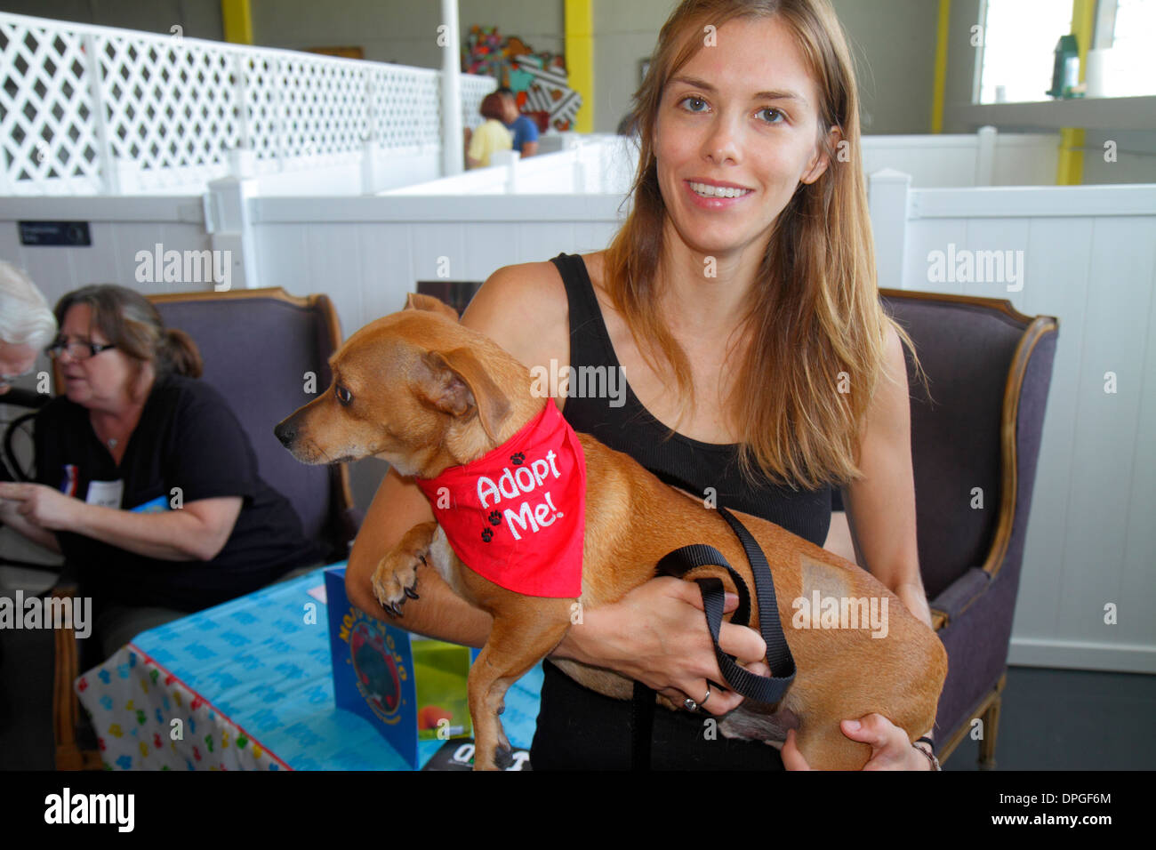 Miami Florida,Wynwood Art District,dog pet adoption volunteer volunteers volunteering work worker workers,serving help helping woman female women,hold Stock Photo