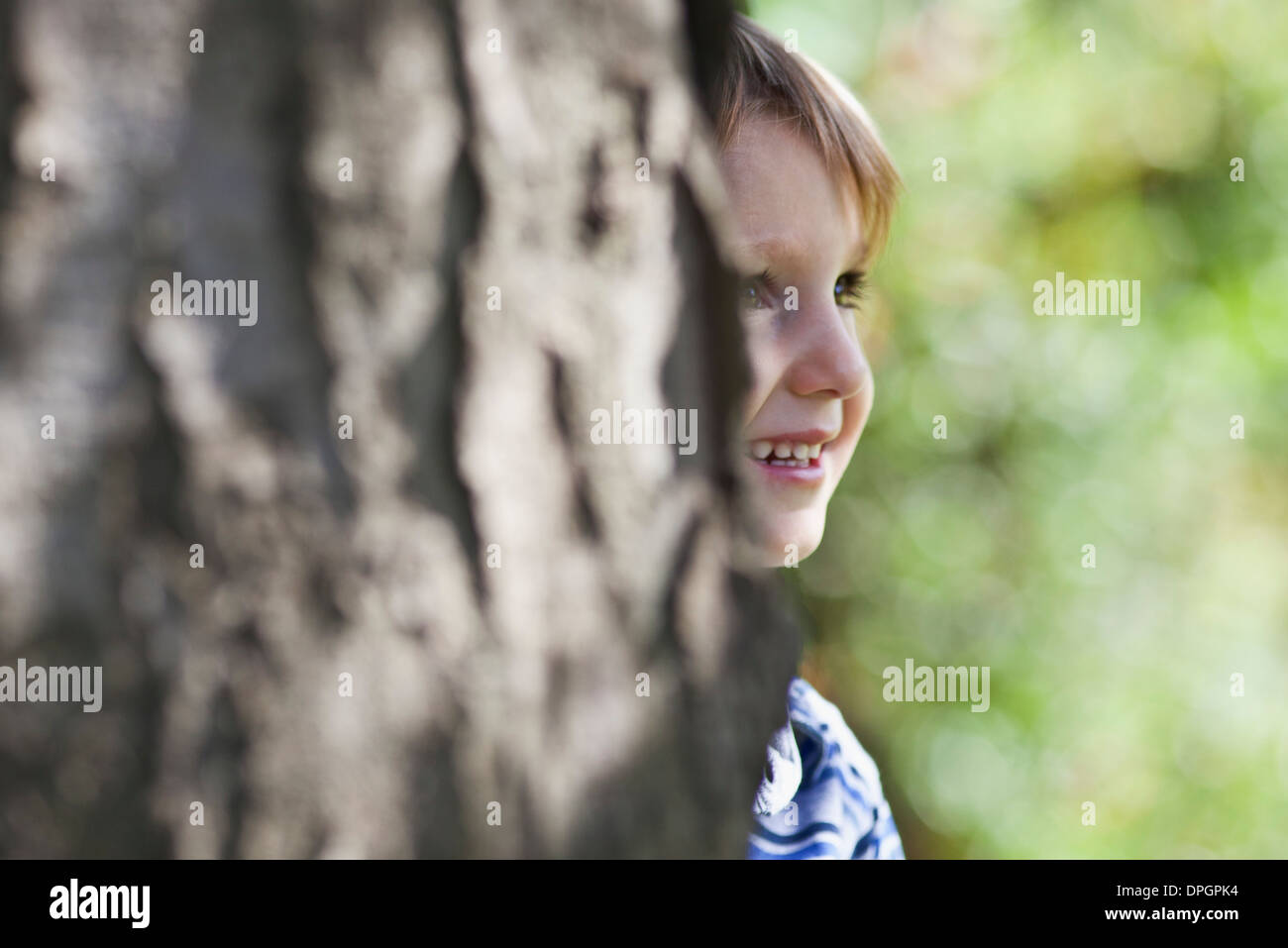 Boy behind tree Stock Photo
