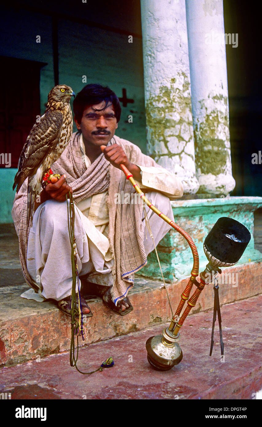 Falconer smoking hookah Kot Peron Punjab Pakistan Stock Photo Alamy