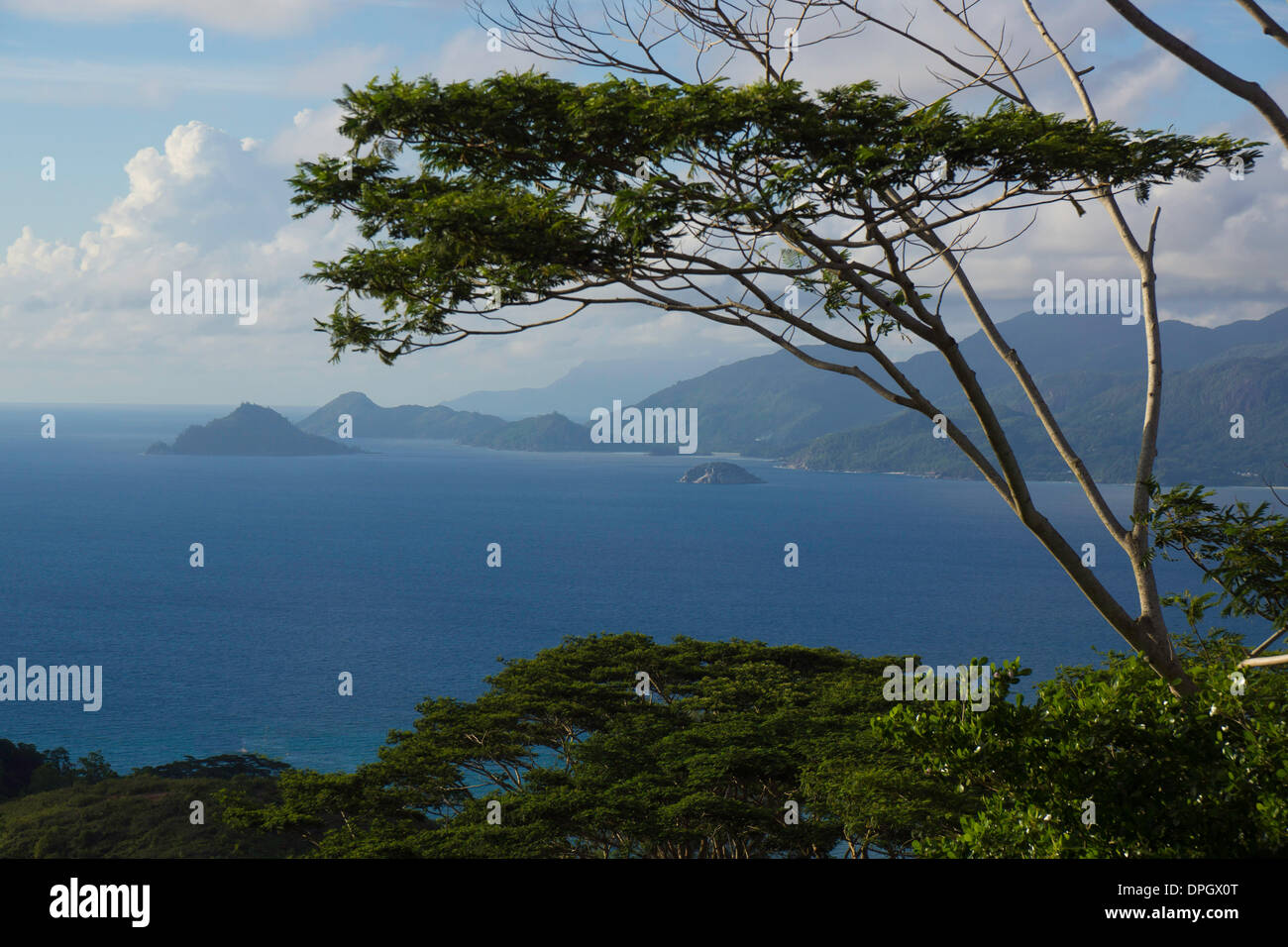 Landscape with mountains and trees, Mahe, Seychelles, Indian Ocean, Africa - December 2013 Stock Photo