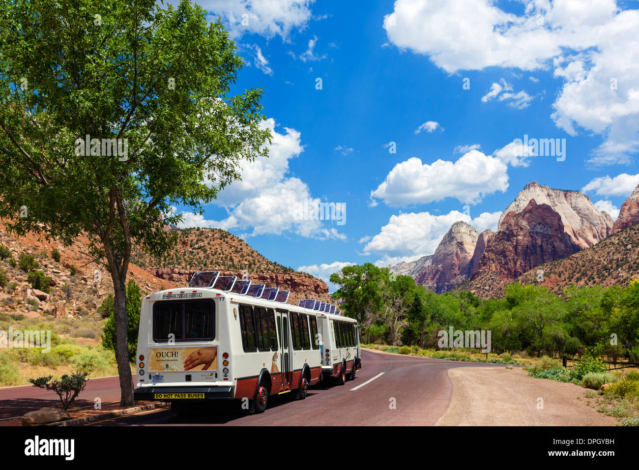Zion Canyon shuttle bus on the scenic drive near the Museum, Zion National Park, Utah, USA Stock Photo