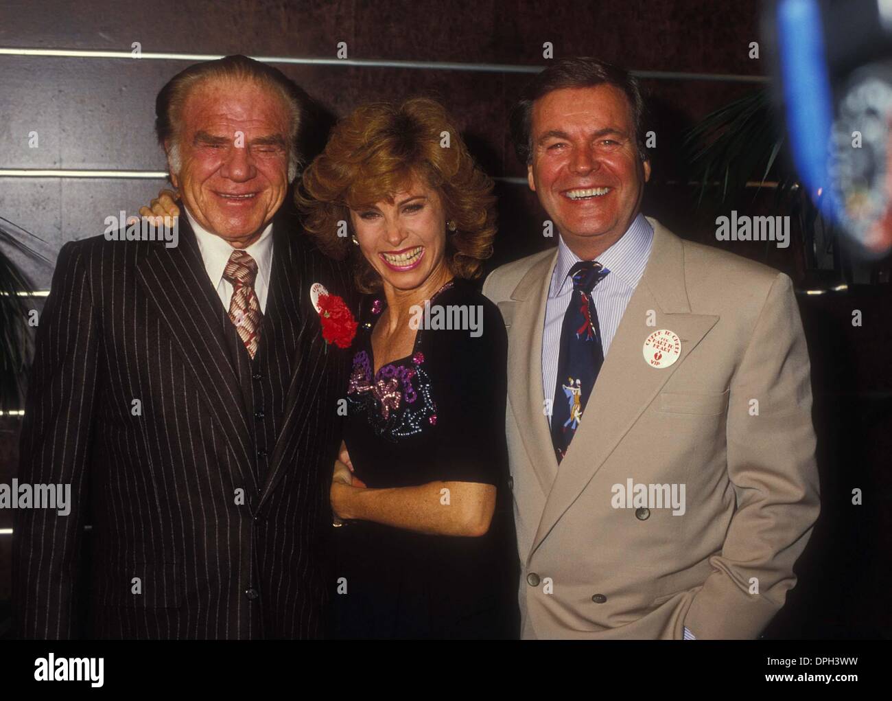 Films Et Séries Tv Avec Lionel Stander Robert wagner stefanie powers hi-res stock photography and images - Alamy