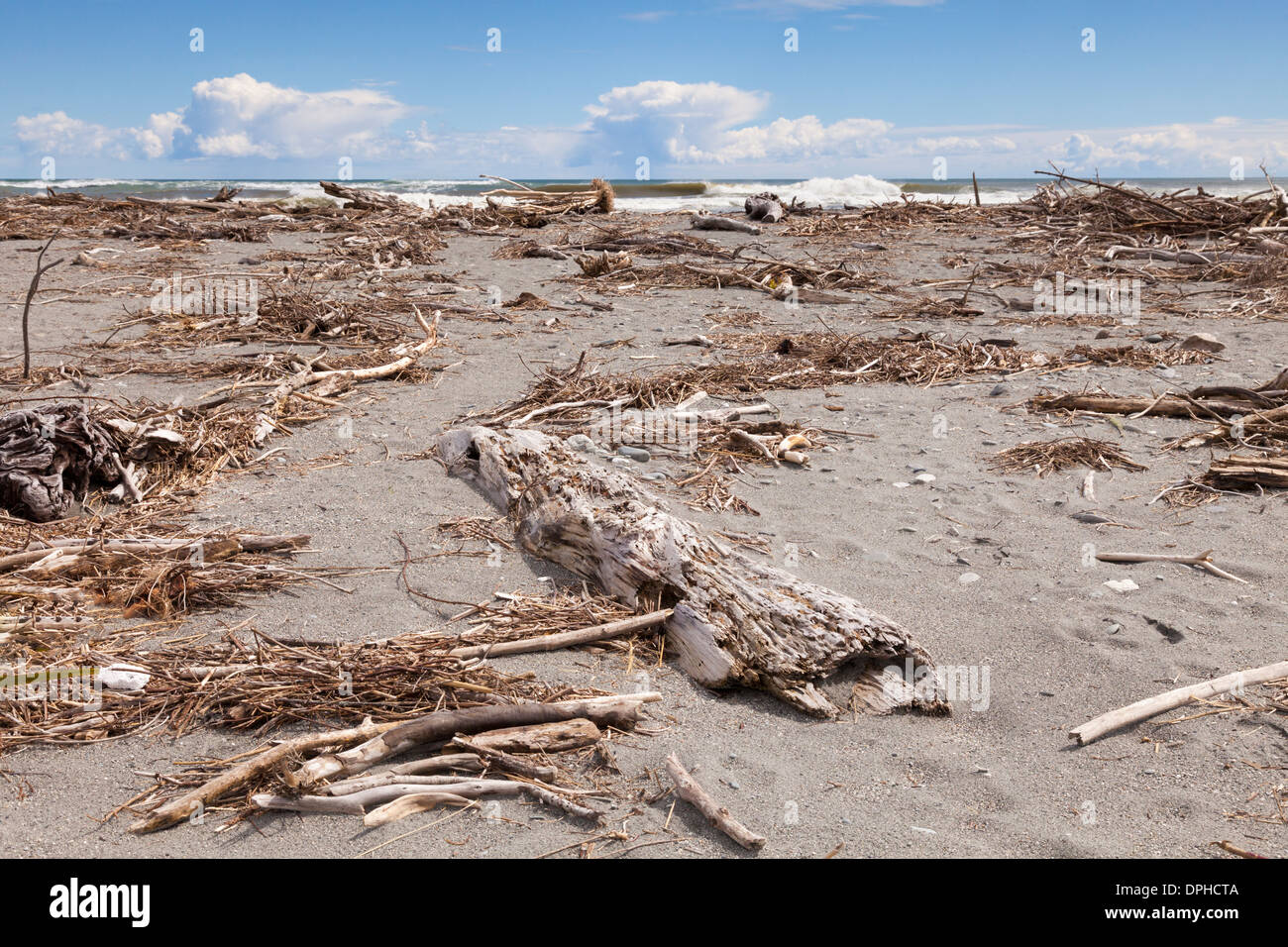 The driftwood strewn beach at Hokitika, West Coast, New Zealand. Stock Photo