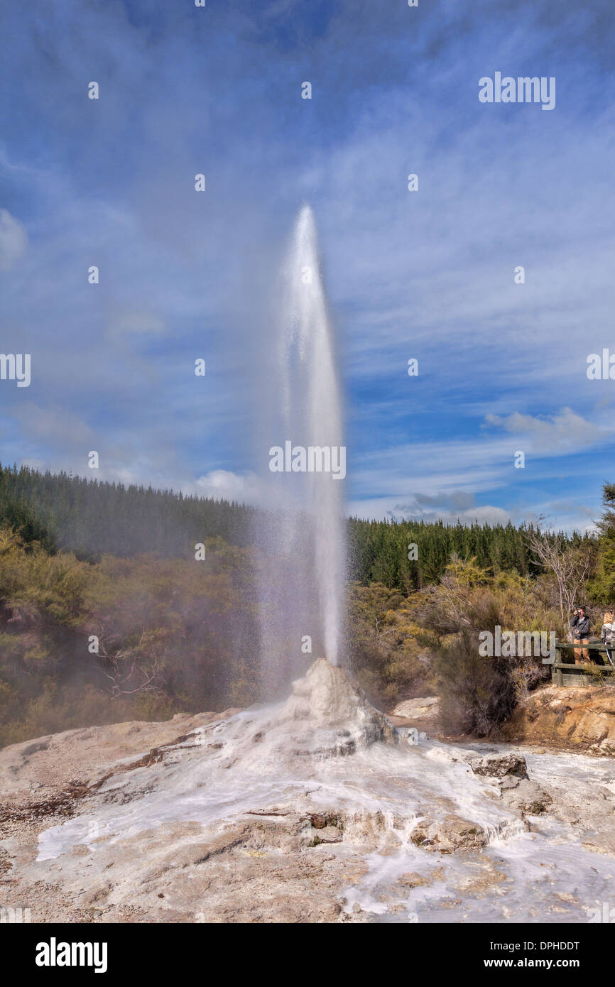 Visitors watch the Lady Knox Geyser start to erupt. The geyser is at Waiotapu, near Rotorua, in the Taupo Volcanic Zone. Stock Photo